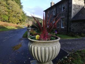 a large white vase with flowers in the middle of a road at Carradales Luxury Guest House in Carradale