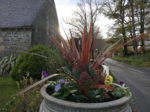 um vaso de flores com plantas nele ao lado de uma estrada em Carradales Luxury Guest House em Carradale