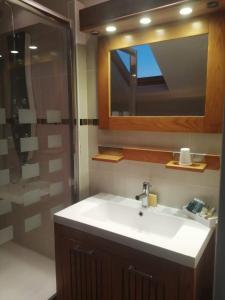 La salle de bains est pourvue d'un lavabo et d'une douche avec un miroir. dans l'établissement la petite briarde, à Boissy-le-Châtel