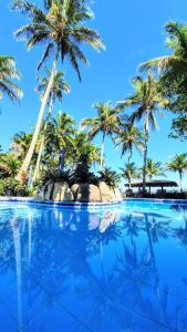 a large swimming pool with palm trees in the background at Brisa do Mar Barê Praia Hotel - Praia de BAREQUEÇABA in São Sebastião