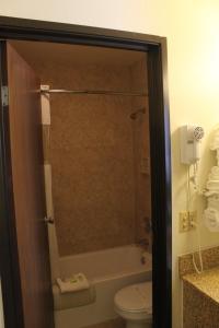 a bathroom with a shower with a toilet and a sink at Lone Tree Inn in Sidney
