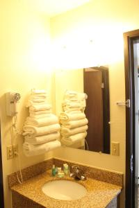 W łazience znajduje się umywalka, lustro i ręczniki. w obiekcie Lone Tree Inn w Sidney