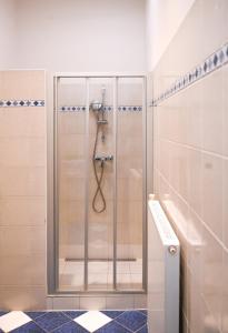 a shower with a glass door in a bathroom at Highlight Suite Augarten in Vienna