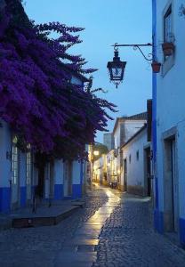 Gallery image of Lovin Book Guesthouse in Óbidos