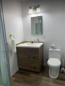 La salle de bains est pourvue d'un lavabo, de toilettes et d'un miroir. dans l'établissement Le Loft Riverstone, à Saint Pierre de Broughton