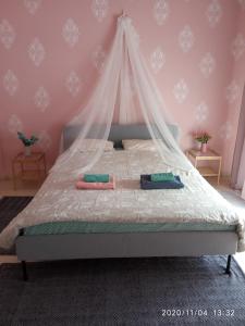 a bedroom with a bed with a mosquito net at Karditsa Home Sweet Home 68 τ.μ in Karditsa