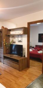 Μια τηλεόραση ή/και κέντρο ψυχαγωγίας στο Emma apartament