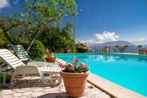 a swimming pool with chairs and a pot of flowers at Agriturismo Santa Serena in Cerreto di Spoleto