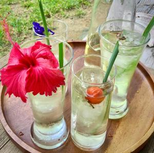 Bebidas em イリワ -stay&coffee iriwa-