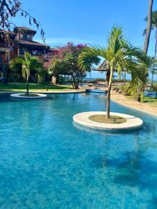 a swimming pool with a palm tree in the middle at Beach front apartment in Dream Village Cumbuco, Ceara in Cumbuco