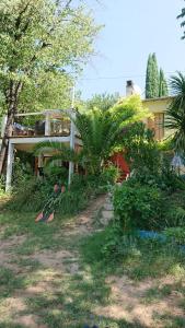 een huis met een palmboom in de tuin bij Gîtes chez Daniel "Provence" in Lorgues