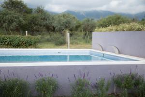 a swimming pool in a yard with a fence and trees at Posada del Manzano in Carpintería