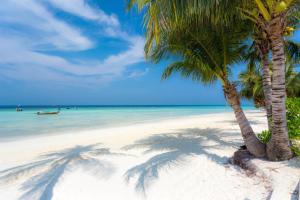 Gallery image of Phi Phi Holiday Resort in Phi Phi Islands