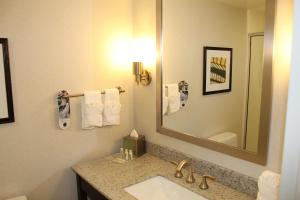 a bathroom with a sink, mirror and a towel rack at Holiday Inn and Suites East Peoria, an IHG Hotel in Peoria