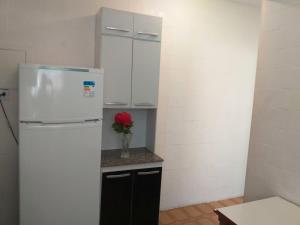 O bucătărie sau chicinetă la Apartamento Carrinho do Kuko n 309