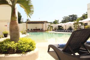 a swimming pool with two chairs and a palm tree at Hotel Tulija Palenque in Palenque