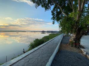 a path next to a body of water with a tree at Chuanchom Resort in Phatthalung