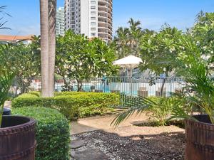 a resort with a pool and palm trees and a building at Calypso Plaza Resort Unit 141 Studio style apartment - Beachfront Coolangatta in Gold Coast