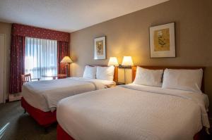 pokój hotelowy z 2 łóżkami i oknem w obiekcie Marmot Lodge Jasper w mieście Jasper