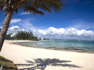a beach with people in the water and a palm tree at Tondio Terrace Flat 5 - Pet Friendly in Gold Coast