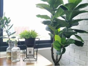 Kép The Hub SS2 - 1 Bedroom Suite szállásáról Petaling Dzsajában a galériában
