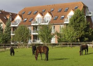 eine Gruppe von Pferden, die auf einem Feld vor einem Gebäude grasen in der Unterkunft Ostseefeeling - lichtdurchflutete Ferienwohnung - (App.37) in Timmendorfer Strand