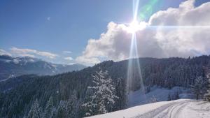 蓬高聖約翰的住宿－Lindbichlhof Urlaub am Bio Bauernhof，雪覆盖的山上的太阳闪烁