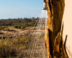 a view from the side of a tree in the savannah at Manzini River House in Hectorspruit