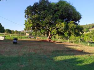 a large tree in a field with a trash can at casa temporada capitólio in Capitólio