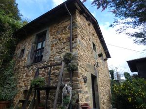 uma velha casa de pedra com plantas ao lado dela em El Observatoriu em Muñás