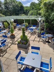 a patio with blue tables and chairs and trees at The Labouring Man in Coldwaltham