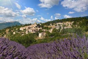 a village on top of a hill with purple flowers at GITE LES HORTENSIAS in Aurel