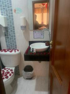 Baño pequeño con aseo y lavamanos en Hotel Sipa, en Duitama