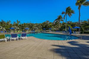 una piscina con sillas, sombrillas y palmeras en Aqua Vista en Tavernier