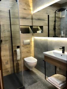 a bathroom with a toilet and a sink at Chata Walichnowska in Sokolniki +45 photos