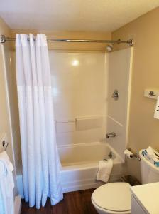 een badkamer met een bad, een toilet en een douche bij Windrifter Resort in Wolfeboro