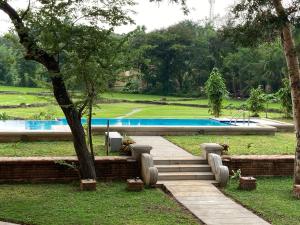 una piscina con una escalera junto a un árbol en Monaara Leisure - Anuradhapura, en Anuradhapura