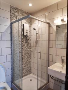 a bathroom with a shower and a sink at EZ Suites in Bandar Seri Begawan