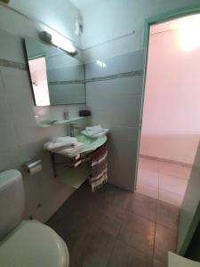 ein Badezimmer mit einem Waschbecken, einem WC und einem Spiegel in der Unterkunft Résidence les Bougainvilliers Martinique in Sainte-Anne