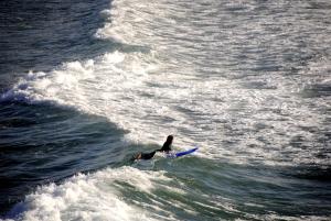 a person riding a wave on a surfboard in the ocean at Tigmi Blue - Imsouane Surf et Océan in Imsouane