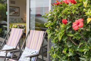 two chairs in front of a bush with red flowers at Golden Sand Beachfront Accommodation in Coopers Beach