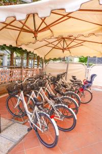 Jízda na kole v ubytování Hotel Tridentum nebo okolí