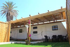 a house with a patio with chairs and a palm tree at Casa Caravanas in Paracas