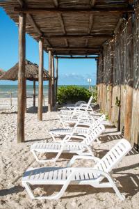 una fila de tumbonas blancas en la playa en Hermosos Días Soleados en Villa LUNA DEL MAR, en Telchac Puerto