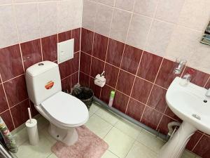 エカテリンブルクにあるApartment Domashny Uyut on Sheinkmana 90のバスルーム(トイレ、洗面台付)