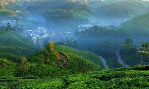 un valle nublado de montaña con plantaciones de té verde en Camelot Resort, en Munnar