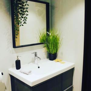 a bathroom sink with a mirror and a plant at Mijn Rust in Jabbeke