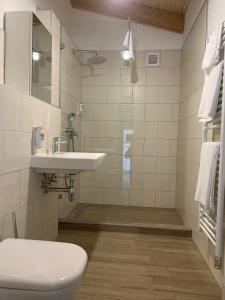 y baño con aseo, lavabo y ducha. en Öregtölgy Apartman, en Szár