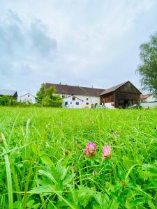 a field with pink flowers in the grass at Bauernhaus am Sallingbach in Sallingberg
