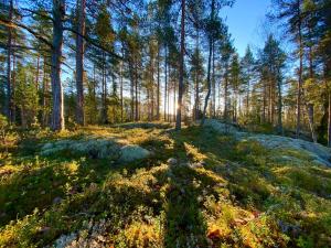 Loma-asunnon lähellä sijaitseva luonnonmaisema